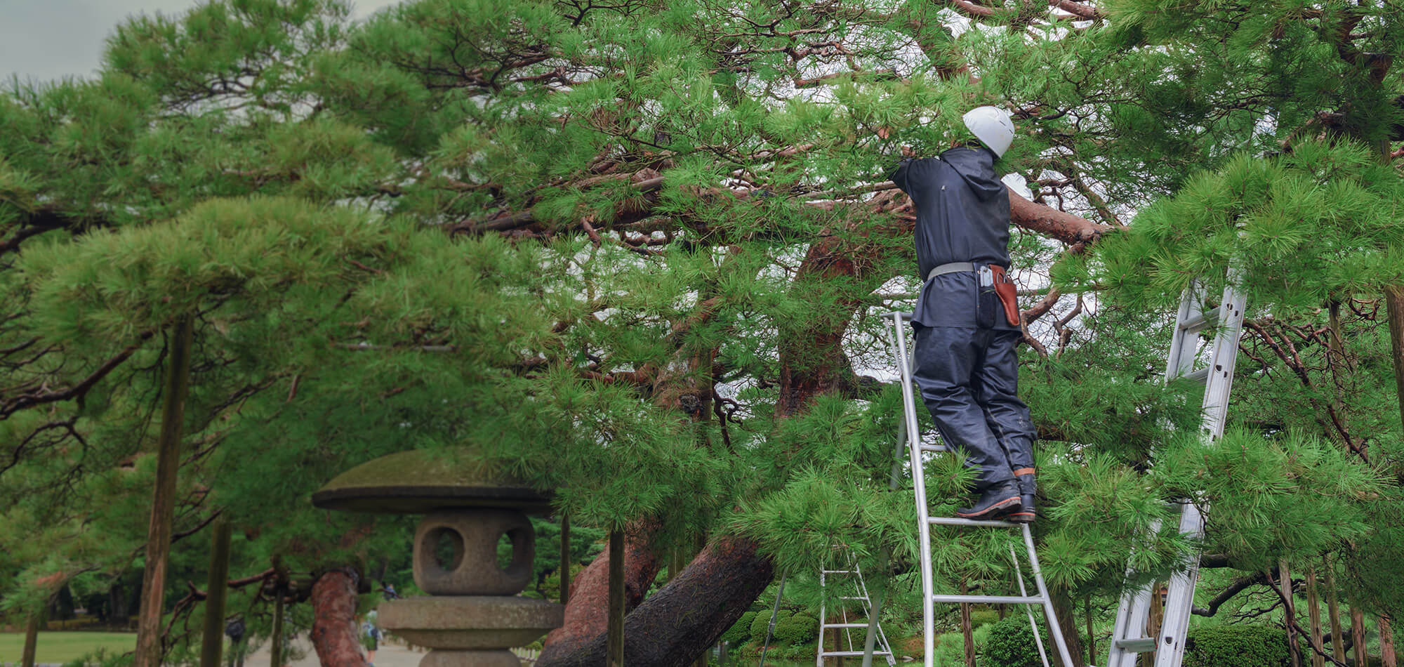 暮らしを彩る、理想をカタチに。住まいに合った庭と外構で、心地よい毎日を。